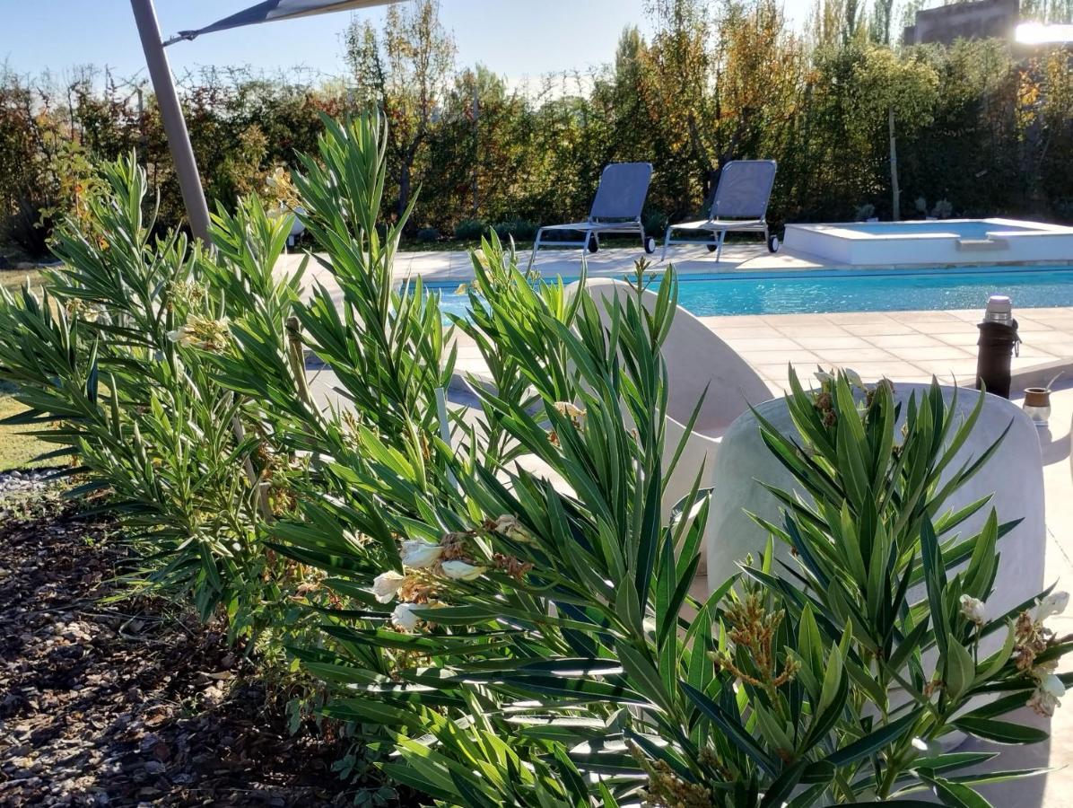 De Alma Tinta - Petit Chalet San Rafael Dış mekan fotoğraf
