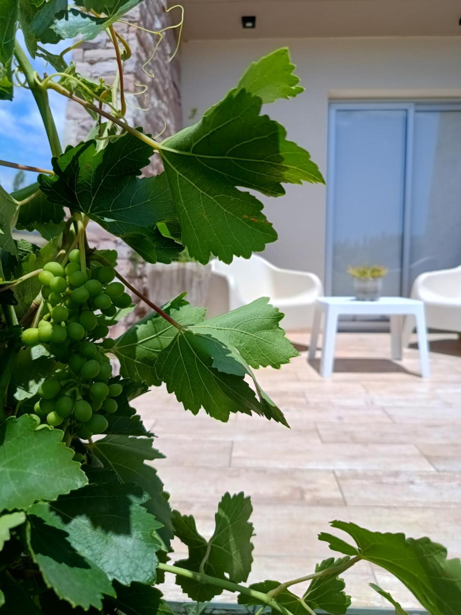 De Alma Tinta - Petit Chalet San Rafael Dış mekan fotoğraf