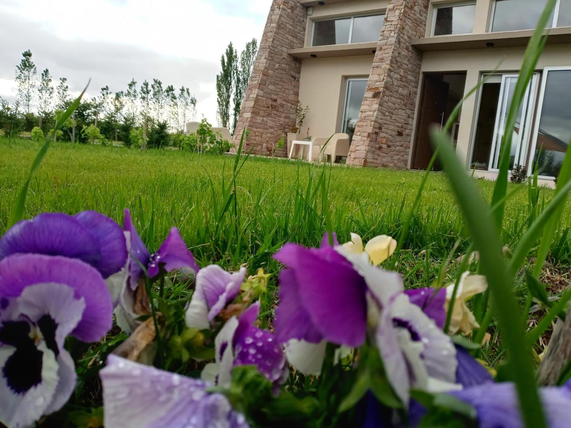 De Alma Tinta - Petit Chalet San Rafael Dış mekan fotoğraf