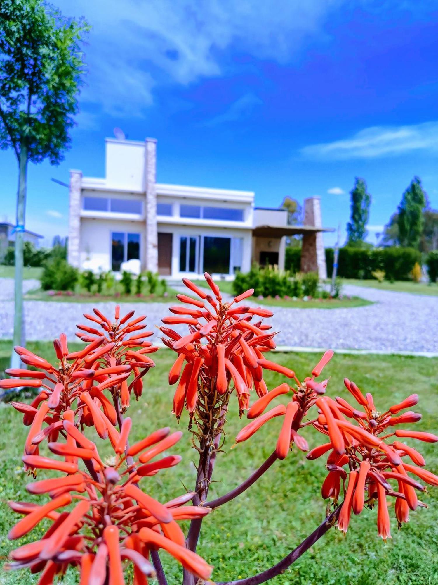 De Alma Tinta - Petit Chalet San Rafael Dış mekan fotoğraf