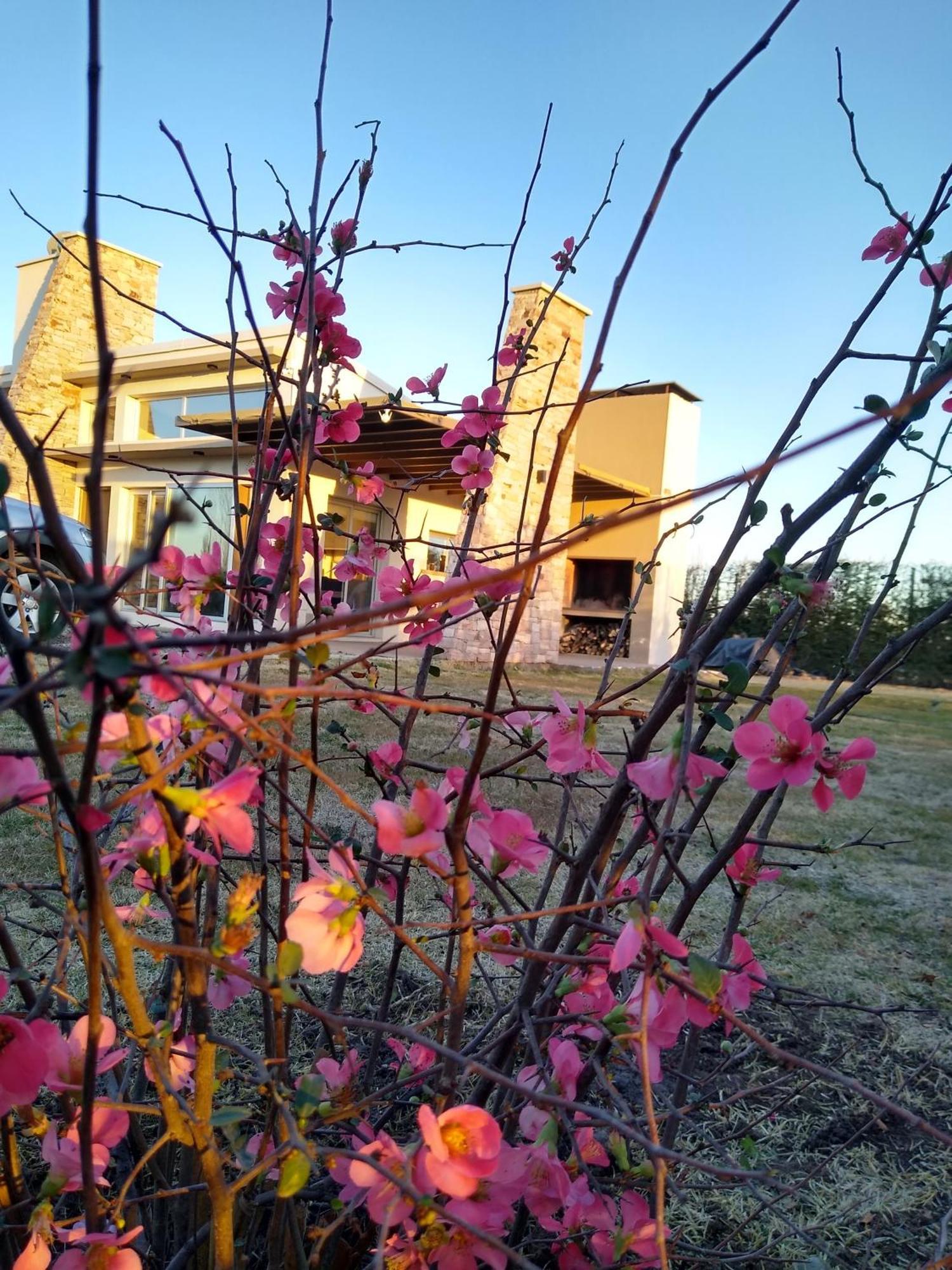 De Alma Tinta - Petit Chalet San Rafael Dış mekan fotoğraf