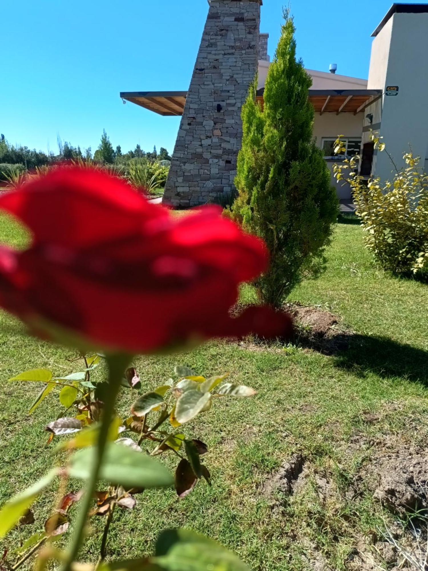 De Alma Tinta - Petit Chalet San Rafael Dış mekan fotoğraf